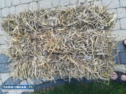 Słoma - Obrazek 1