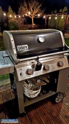 Sprzedaż grilli Weber i piecy do pizzy - Obrazek 3