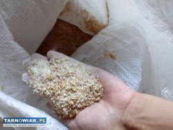 Sprzedam śrutę zbożową - Obrazek 1
