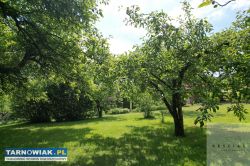 Ogrodzona działka 23 ary z ogrodem – Pleśna! - Obrazek 2