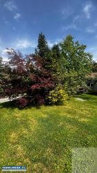 Ogrodzona działka 23 ary z ogrodem – Pleśna! - Obrazek 3