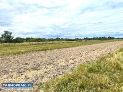 Działki rolne - Szczurowa - Obrazek 2