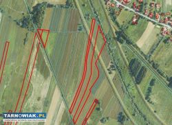 Działki rolne - Szczurowa - Obrazek 4