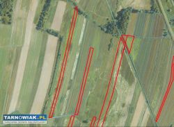 Działki rolne - Szczurowa - Obrazek 3