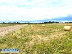 Działki rolne - Szczurowa - Obrazek 1