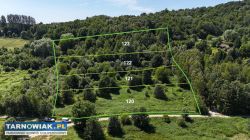 Działka rolna 90 arów w gm Jodłowa, powiat dębicki - Obrazek 1