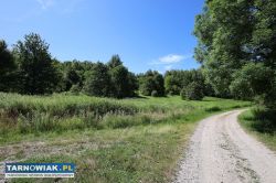 Działka rolna 90 arów w gm Jodłowa, powiat dębicki - Obrazek 2