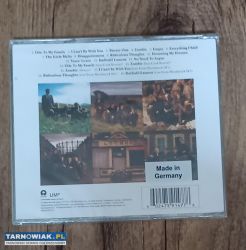 The Cranberies no need to argue 30th anniversary - Obrazek 2