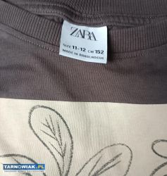 Bluza szara Zara 152 - Obrazek 2