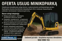 Usługi Koparkowe / wynajem - Obrazek 1
