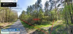Działka leśna 1,34ha, Las Radgoszcz, pow.Dąbrowski - Obrazek 1