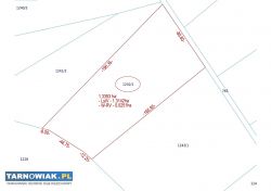 Działka leśna 1,34ha, Las Radgoszcz, pow.Dąbrowski - Obrazek 4