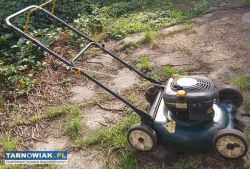 Kosiarka Craftsman 6,5KM mocna - Obrazek 3