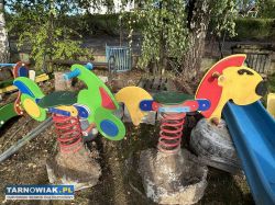 Bujaki spręzynowe - Obrazek 1