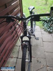 Rower kands 29 cali - Obrazek 2