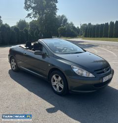 Peugeot 307 cc 2.0 benzyna - Obrazek 1