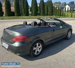 Peugeot 307 cc 2.0 benzyna - Obrazek 3