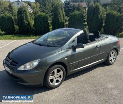 Peugeot 307 cc 2.0 benzyna - Obrazek 2