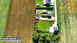 Dębno koło Brzeska - Obrazek 2