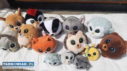 zestaw maskotek z biedry - Obrazek 1