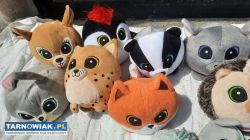 zestaw maskotek z biedry - Obrazek 3