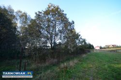 Pogórska Wola - Obrazek 1