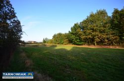 Pogórska Wola - Obrazek 2