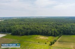 Działka leśna blisko zalewu w Narożnikach - Obrazek 1