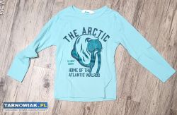 H&m 122 128 bluza arctic - Obrazek 1