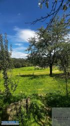 Działka z budynkiem gospodarczym 280 000zł! - Obrazek 4