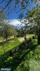 Wyjątkowy dom na sprzedaż 260 000zł! - Obrazek 3