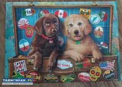 Puzzle Castorland 300 Stowaway Pups - Obrazek 1