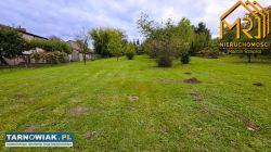 okolice ul. Krzyskiej - Obrazek 4