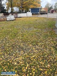 Plac wynajmę - Obrazek 3