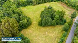 Działka Budowlano-Rolna | Wola Lubecka | Okazja - Obrazek 1