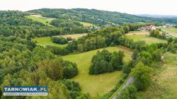 Działka Budowlano-Rolna | Wola Lubecka | Okazja - Obrazek 2