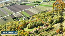 Działka z widokiem na Dunajec - Obrazek 1