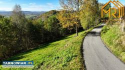 Działka z widokiem na Dunajec - Obrazek 4