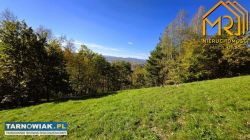 Działka z widokiem na Dunajec - Obrazek 3