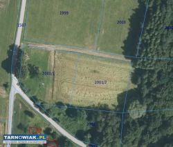 Działka rolno-budowlana Szerzyny - Obrazek 1
