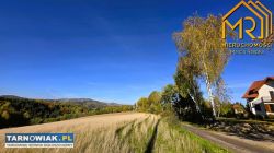 Widokowa z lasem - Obrazek 2