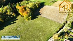 Widokowa z lasem - Obrazek 4