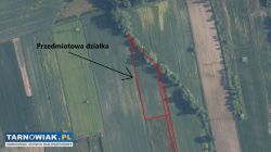 Działki na sprzedaż - Oleśnica - Obrazek 3