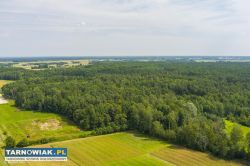 Działka leśna blisko zalewu w Narożnikach - Obrazek 2