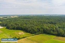 Działka leśna blisko zalewu w Narożnikach - Obrazek 3