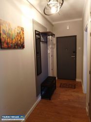 Komfortowe w centrum Tarnowa do wynajęcia - Obrazek 4
