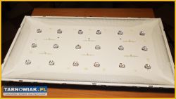 Podświetlenie telewizora LG 32 cale - Obrazek 1