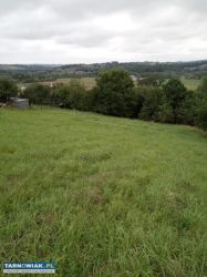 Działka widokowa 29 ar - TANIO - Obrazek 2