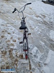 Rower Jaguar - Obrazek 4