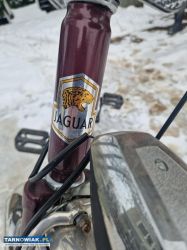 Rower Jaguar - Obrazek 3